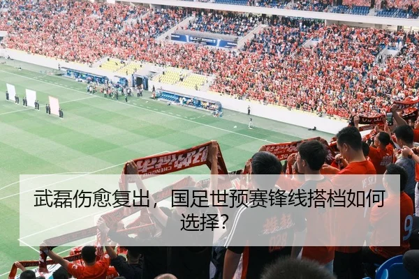 武磊伤愈复出，国足世预赛锋线搭档如何选择？