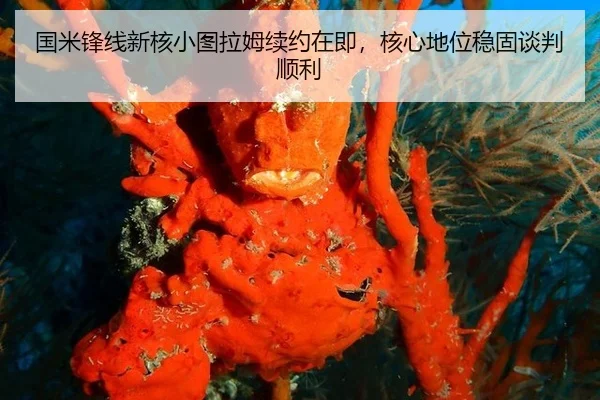 国米锋线新核小图拉姆续约在即，核心地位稳固谈判顺利