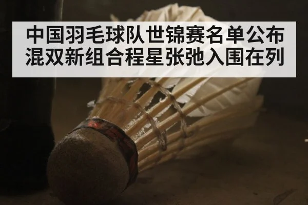 中国羽毛球队世锦赛名单公布混双新组合程星张弛入围在列