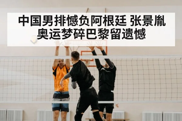 volleyball net block