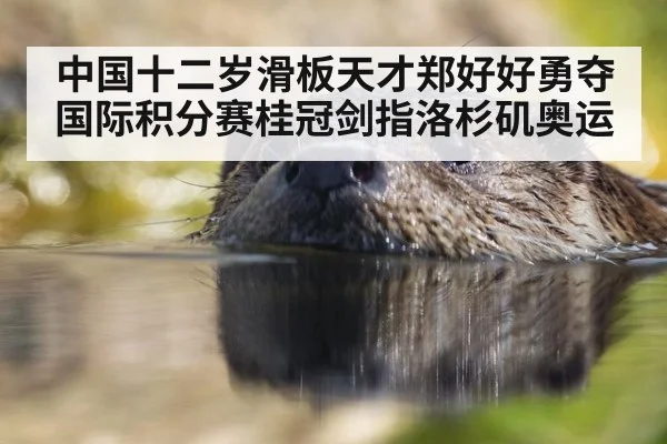 中国十二岁滑板天才郑好好勇夺国际积分赛桂冠剑指洛杉矶奥运